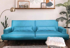 CANAPEA CHARISMA EXTENSIBILA